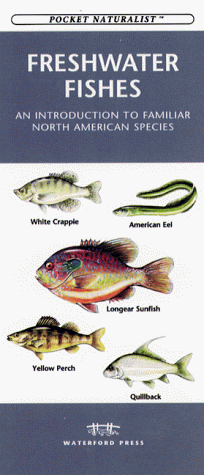 Cover of Freshwater Fishes