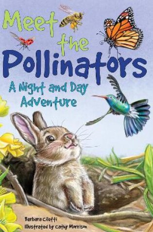 Cover of Meet the Pollinators: A Night and Day Adventure