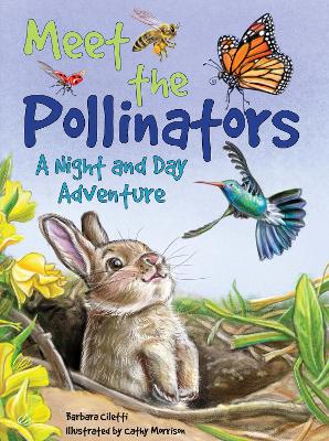 Book cover for Meet the Pollinators: A Night and Day Adventure