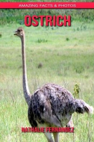 Cover of Ostrich