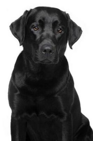 Cover of The Black Labrador Retriever Journal