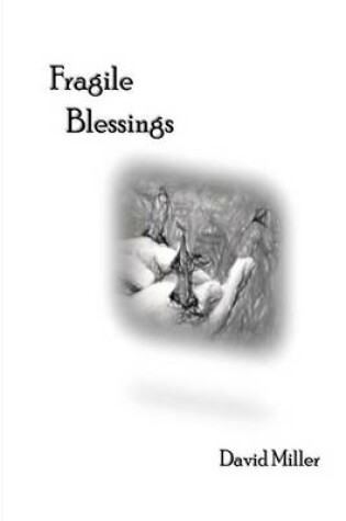 Cover of Fragile Blessings