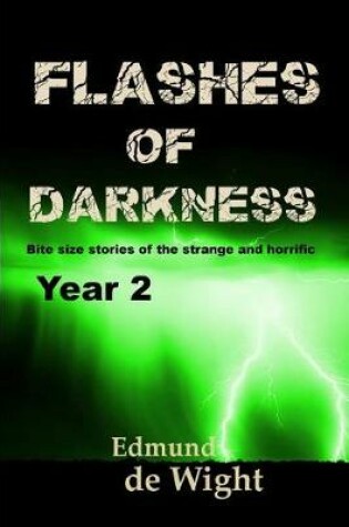 Cover of Flashes of Darkness - Year 2