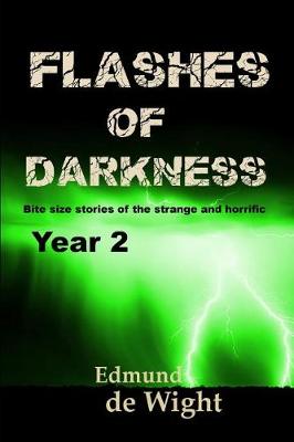 Book cover for Flashes of Darkness - Year 2