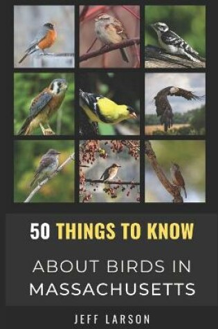 Cover of 50 Things to Know About Birds in Massachusetts