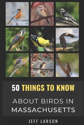 Book cover for 50 Things to Know About Birds in Massachusetts