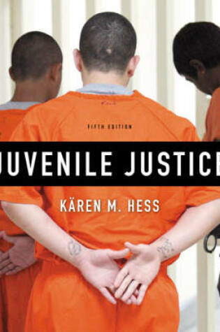 Cover of Juvenile Justice