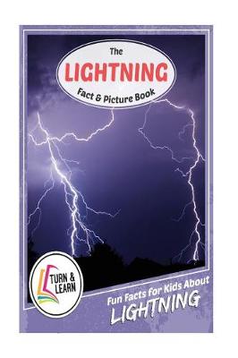Book cover for The Lightning Fact and Picture Book