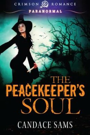 Cover of The Peacekeeper S Soul