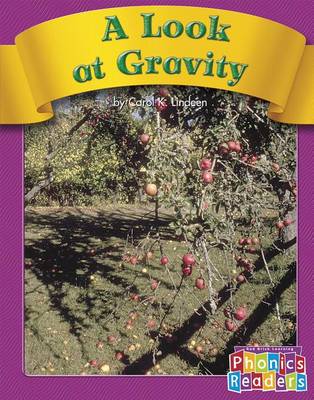 Cover of A Look at Gravity