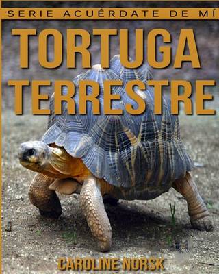 Book cover for Tortuga terrestre