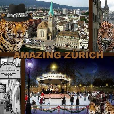 Book cover for Amazing Zurich