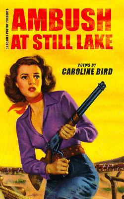 Book cover for Ambush at Still Lake