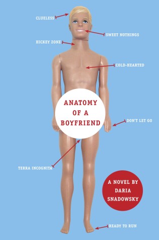 Anatomy of a Boyfriend