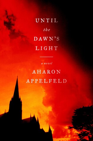 Cover of Until the Dawn's Light