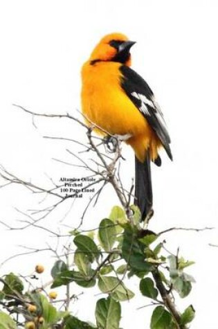 Cover of Altamira Oriole Perched 100 Page Lined Journal