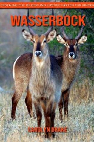 Cover of Wasserbock