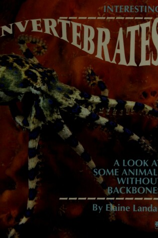 Cover of A Interesting Invertebrates
