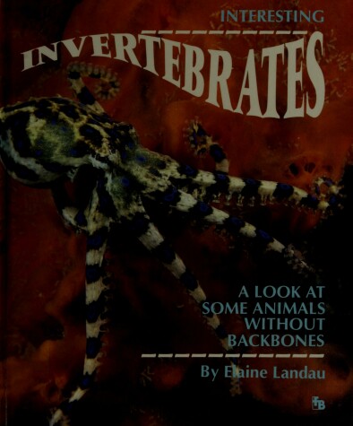 Book cover for A Interesting Invertebrates