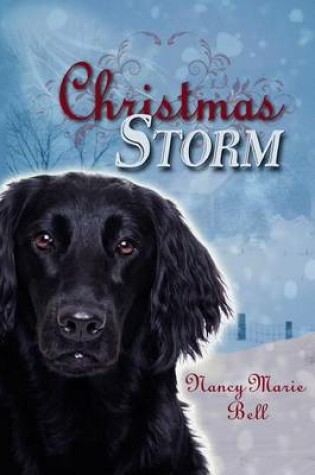Cover of Christmas Storm