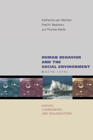 Cover of Human Behavior and the Social Environment: Macro Level: Groups, Communities, and Organizations