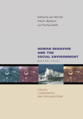 Book cover for Human Behavior and the Social Environment: Macro Level: Groups, Communities, and Organizations