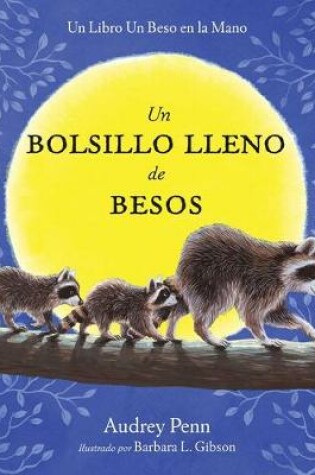Cover of Un bolsillo lleno de besos
