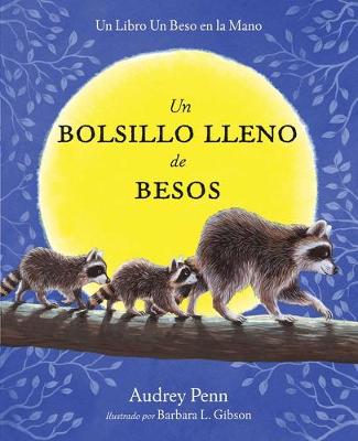 Book cover for Un bolsillo lleno de besos