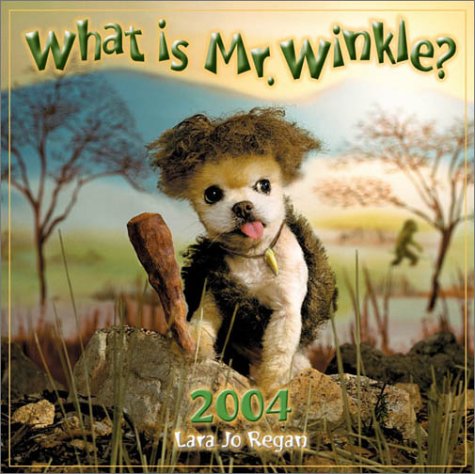 Book cover for Mr Winkle 2004 Calendar