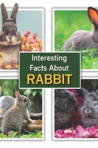 Cover of Interesting Facts about Rabbit