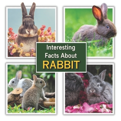 Book cover for Interesting Facts about Rabbit