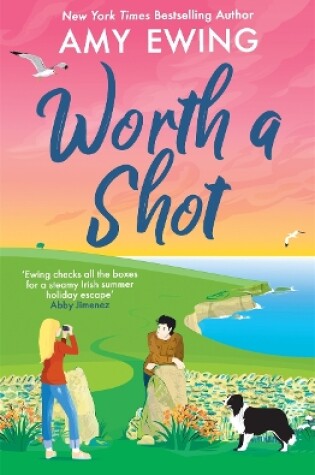 Cover of Worth a Shot