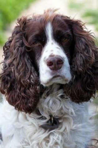 Cover of English Springer Spaniel Portrait Journal