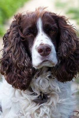 Book cover for English Springer Spaniel Portrait Journal