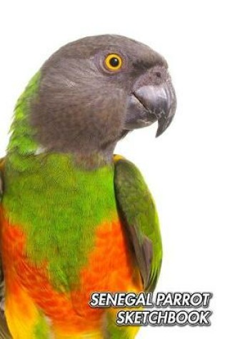 Cover of Senegal Parrot Sketchbook
