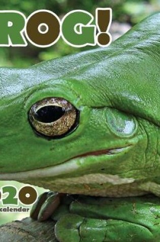 Cover of Frog! 2020 Mini Wall Calendar