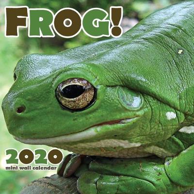 Cover of Frog! 2020 Mini Wall Calendar