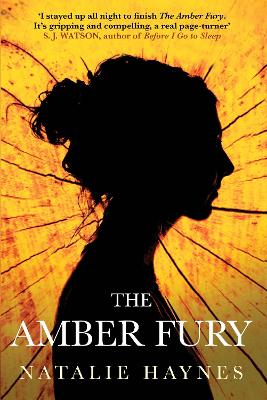 Book cover for The Amber Fury