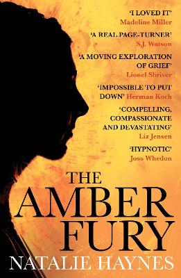 Book cover for The Amber Fury