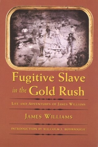 Cover of Fugitive Slave in the Gold Rush