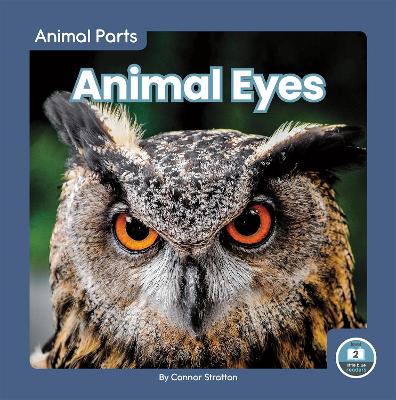 Book cover for Animal Parts: Animal Eyes