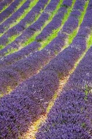 Cover of Field of Lavender in Provence, France Flower Journal