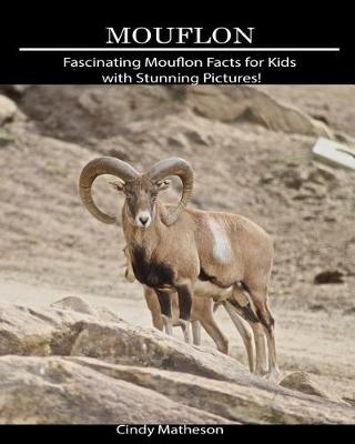 Book cover for Mouflon