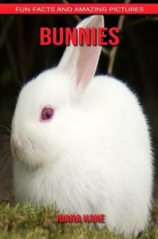 Cover of Bunnies