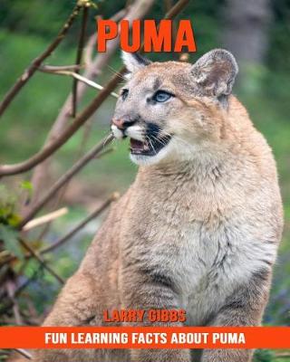 Book cover for Fun Learning Facts about Puma