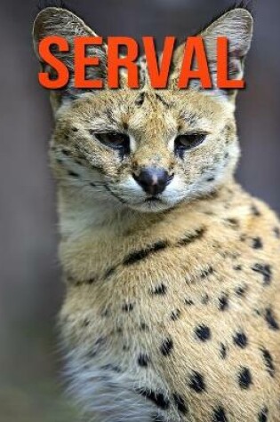 Cover of Serval