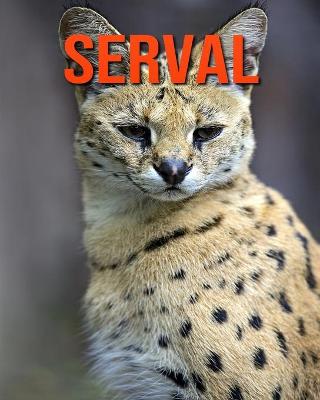 Book cover for Serval