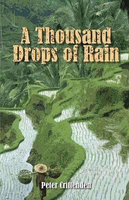 Book cover for A Thousand Drops of Rain