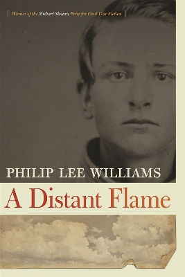 Book cover for A Distant Flame