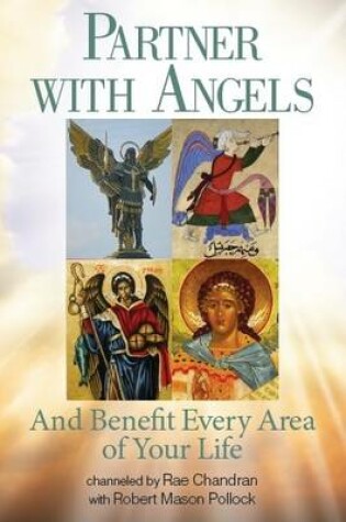 Cover of Partner with Angels